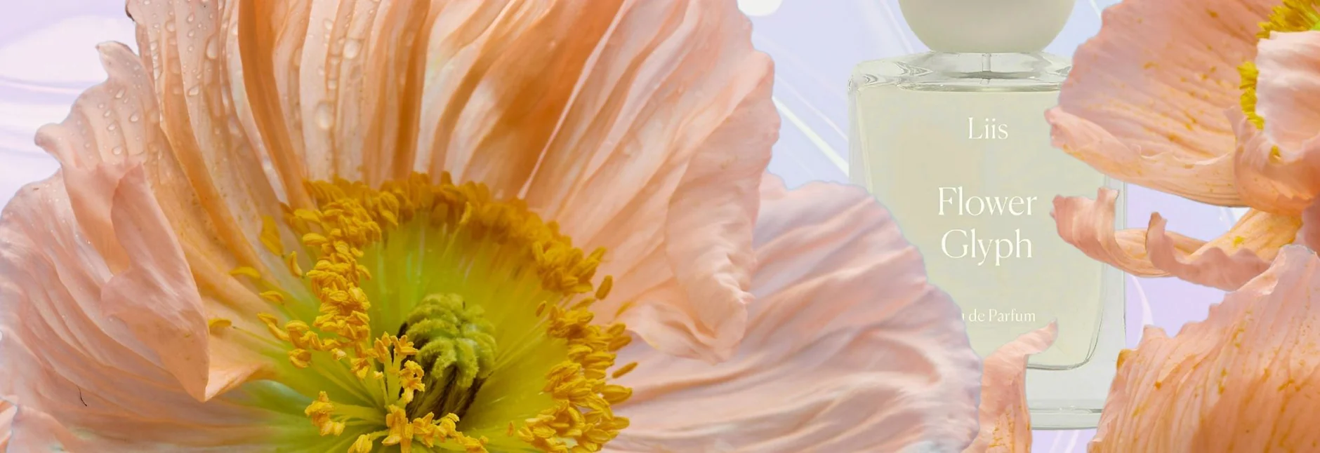 Unveil Your Signature Olfactory Identity